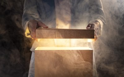 Septenios Legacy: tu espacio para una transformación holística real